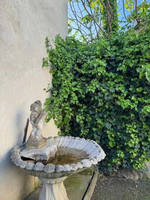 Appartement De Plain-Pied Avec Jardin Avignon Eksteriør bilde