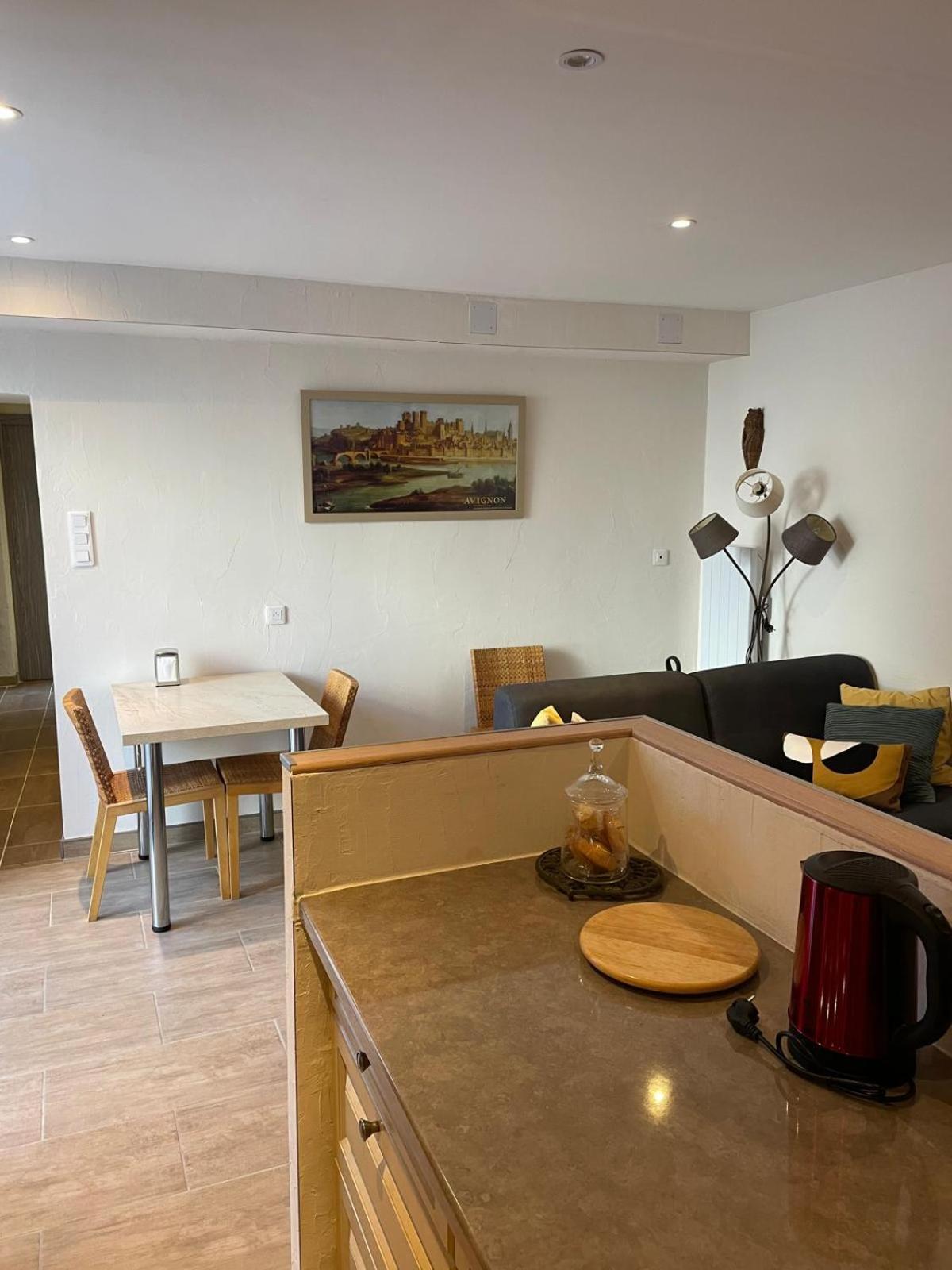 Appartement De Plain-Pied Avec Jardin Avignon Eksteriør bilde